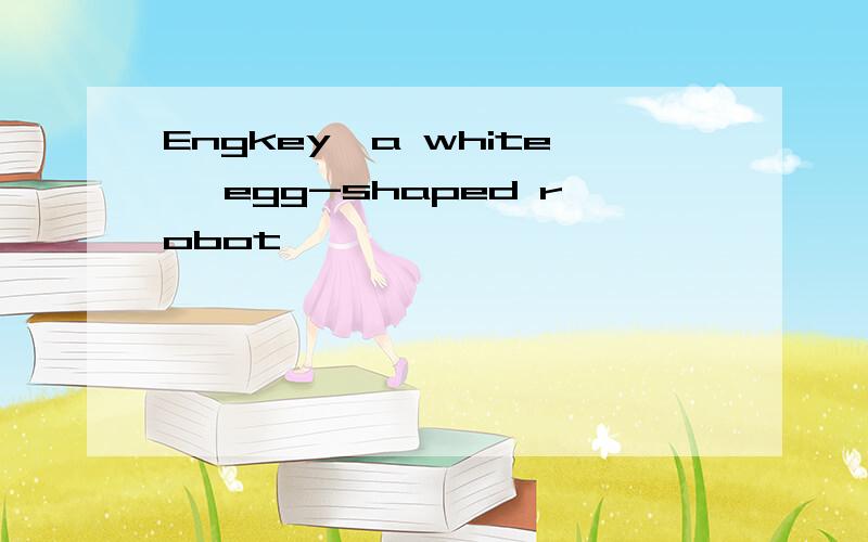 Engkey,a white, egg-shaped robot