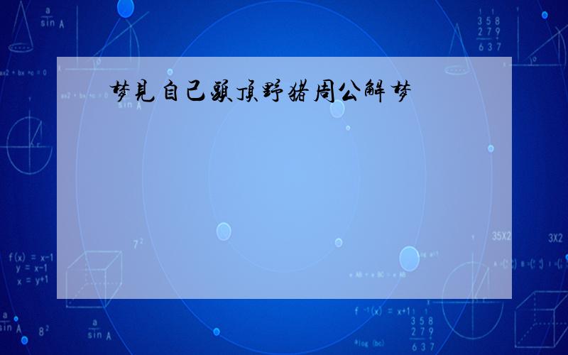 梦见自己头顶野猪周公解梦