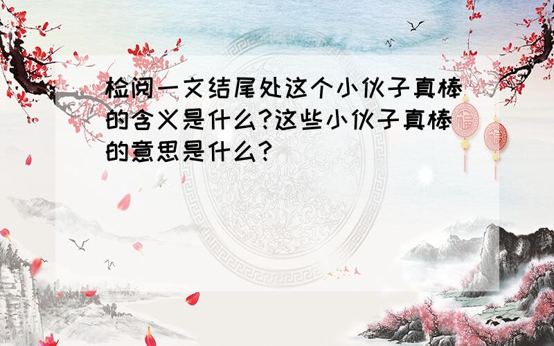 检阅一文结尾处这个小伙子真棒的含义是什么?这些小伙子真棒的意思是什么?