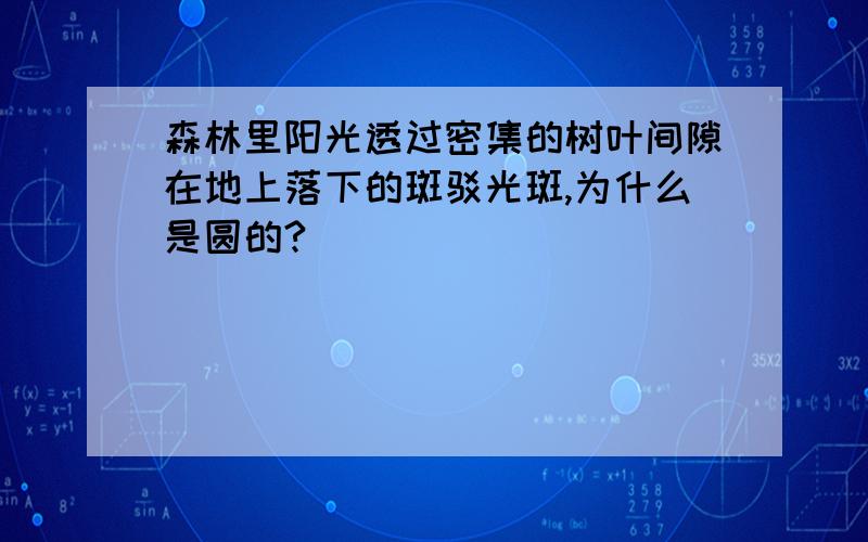 森林里阳光透过密集的树叶间隙在地上落下的斑驳光斑,为什么是圆的?