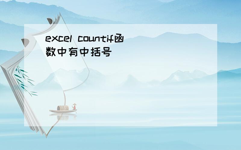 excel countif函数中有中括号