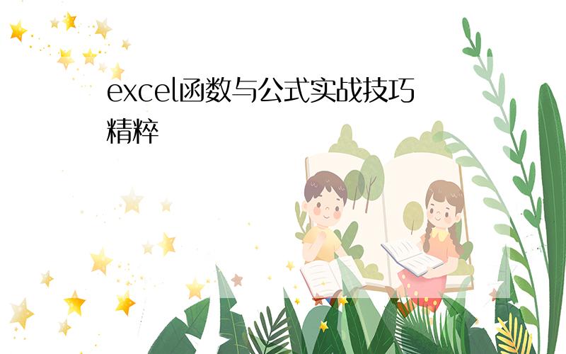 excel函数与公式实战技巧精粹