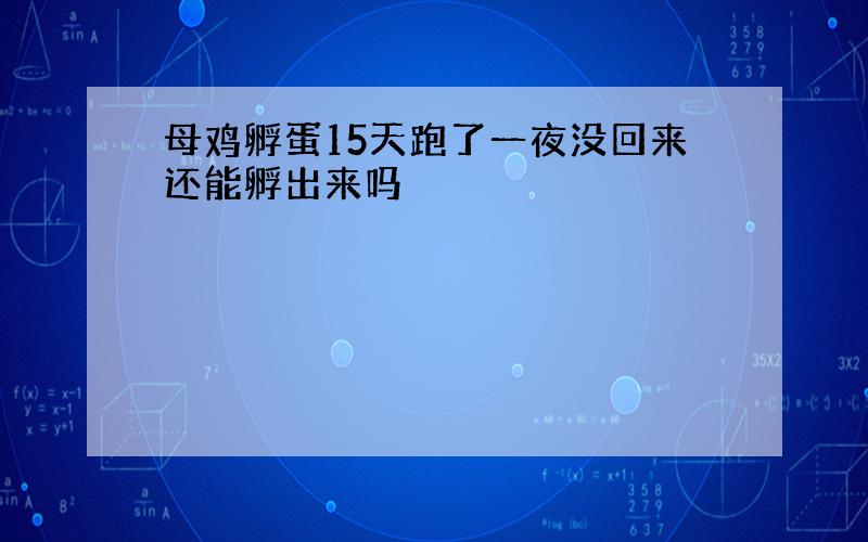 母鸡孵蛋15天跑了一夜没回来还能孵出来吗