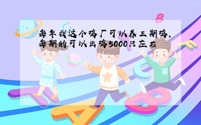 每年我这个鸡厂可以养三期鸡,每期的可以出鸡5000只左右