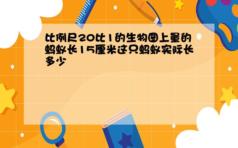 比例尺20比1的生物图上量的蚂蚁长15厘米这只蚂蚁实际长多少