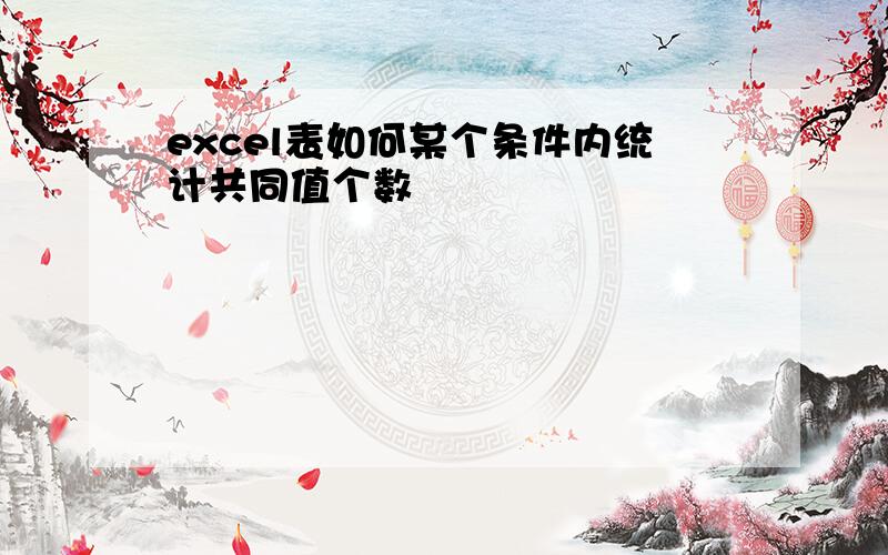 excel表如何某个条件内统计共同值个数