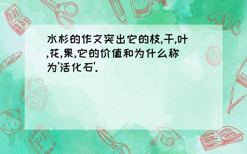 水杉的作文突出它的枝,干,叶,花,果,它的价值和为什么称为'活化石'.