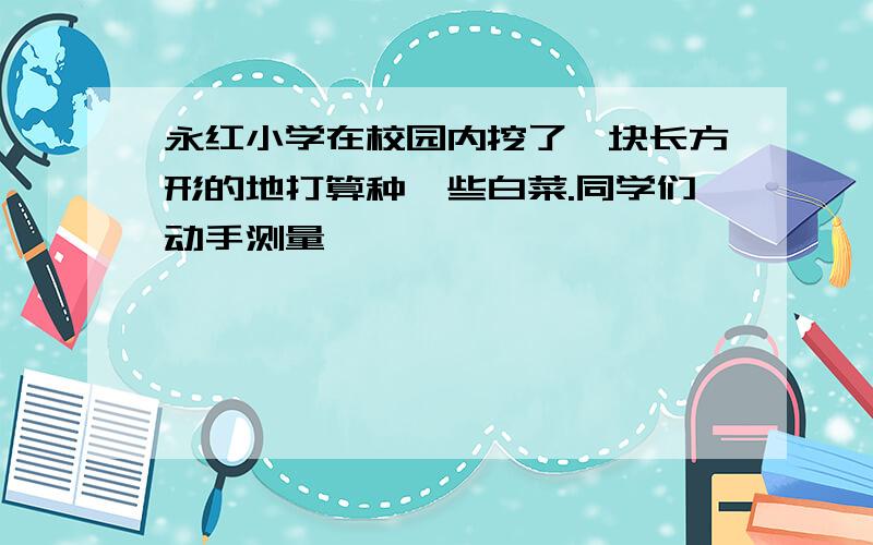 永红小学在校园内挖了一块长方形的地打算种一些白菜.同学们动手测量