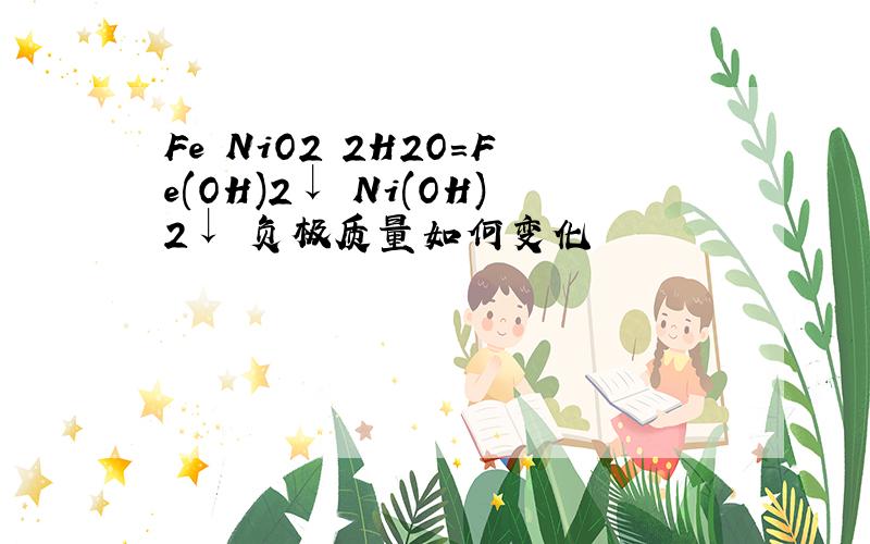 Fe NiO2 2H2O＝Fe(OH)2↓ Ni(OH)2↓ 负极质量如何变化