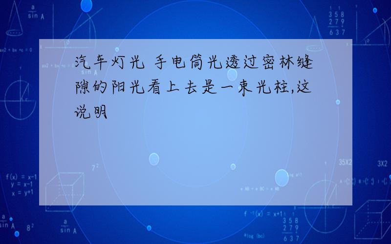 汽车灯光 手电筒光透过密林缝隙的阳光看上去是一束光柱,这说明