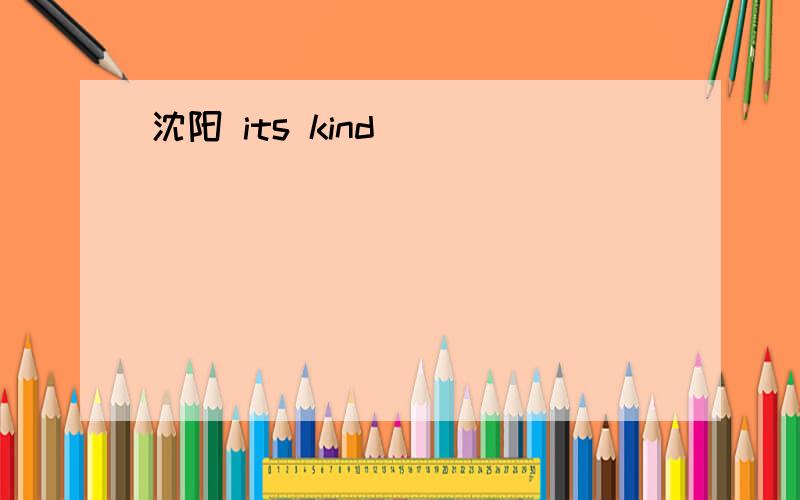 沈阳 its kind