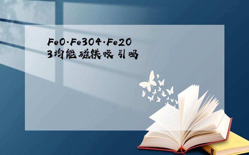 FeO.Fe3O4.Fe2O3均能磁铁吸引吗