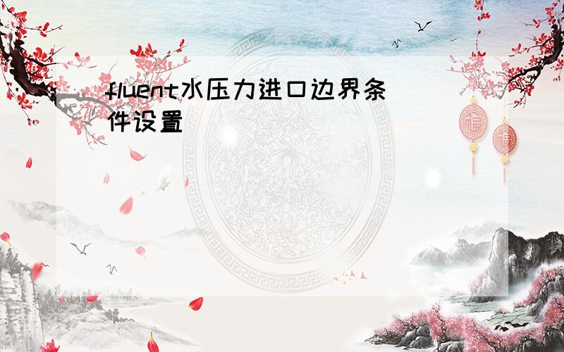 fluent水压力进口边界条件设置