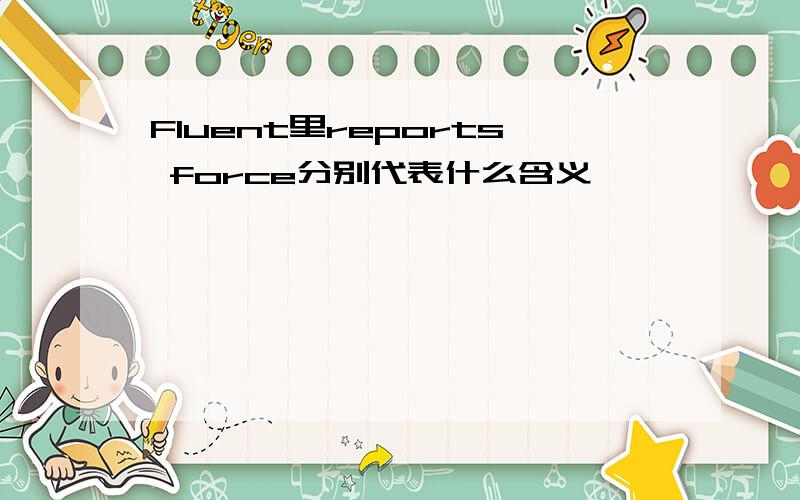 Fluent里reports force分别代表什么含义