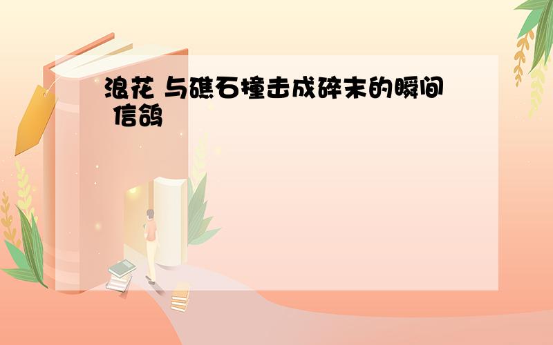 浪花 与礁石撞击成碎末的瞬间 信鸽