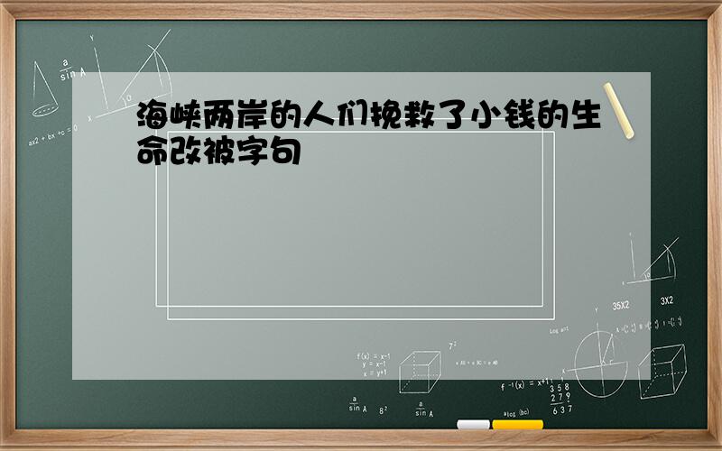 海峡两岸的人们挽救了小钱的生命改被字句