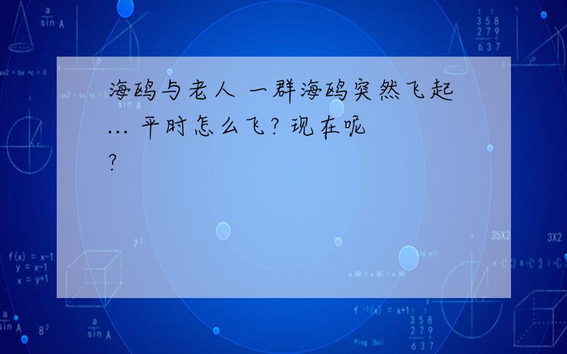 海鸥与老人 一群海鸥突然飞起... 平时怎么飞? 现在呢?