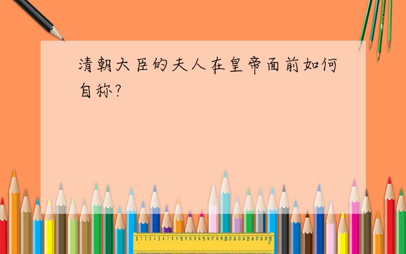 清朝大臣的夫人在皇帝面前如何自称?