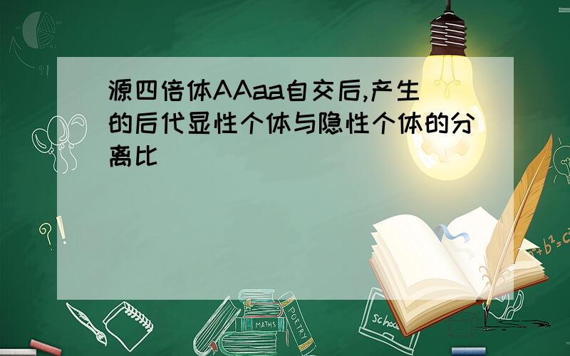 源四倍体AAaa自交后,产生的后代显性个体与隐性个体的分离比