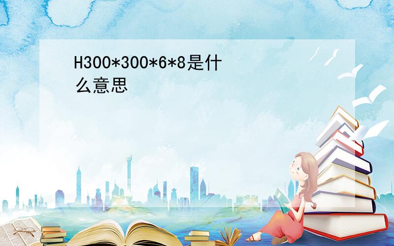 H300*300*6*8是什么意思