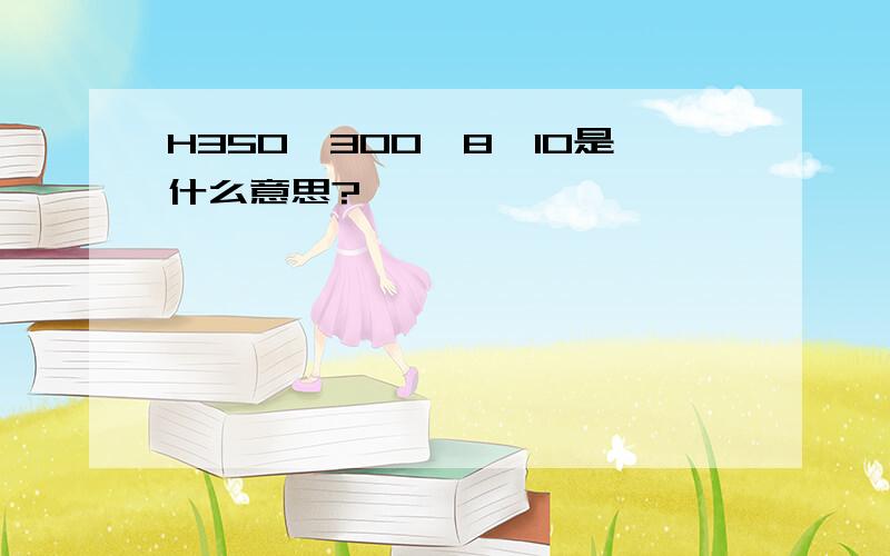 H350*300*8*10是什么意思?