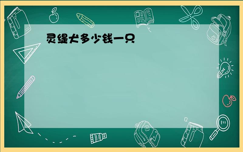 灵缇犬多少钱一只