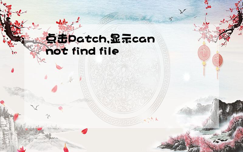 点击Patch,显示can not find file