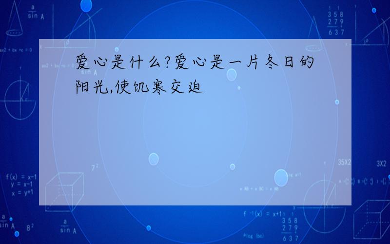 爱心是什么?爱心是一片冬日的阳光,使饥寒交迫