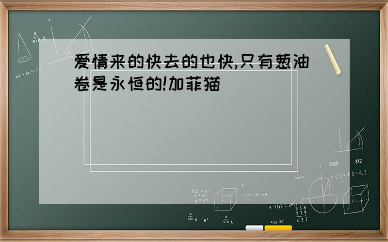 爱情来的快去的也快,只有葱油卷是永恒的!加菲猫