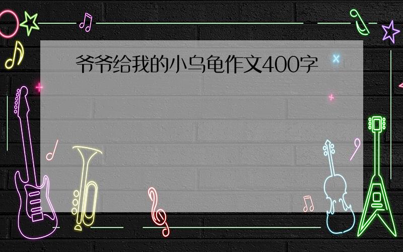 爷爷给我的小乌龟作文400字