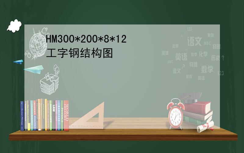 HM300*200*8*12工字钢结构图