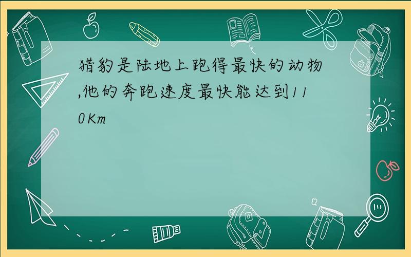 猎豹是陆地上跑得最快的动物 ,他的奔跑速度最快能达到110Km