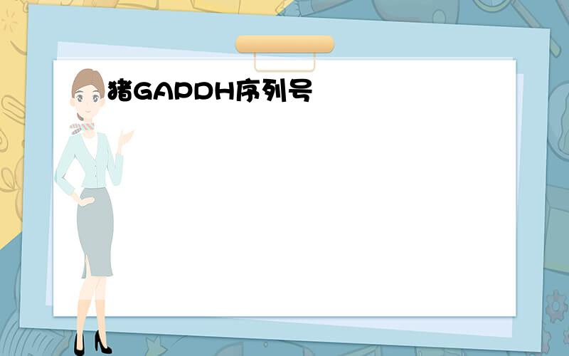 猪GAPDH序列号