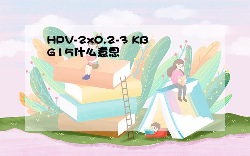 HPV-2x0.2-3 KBG15什么意思