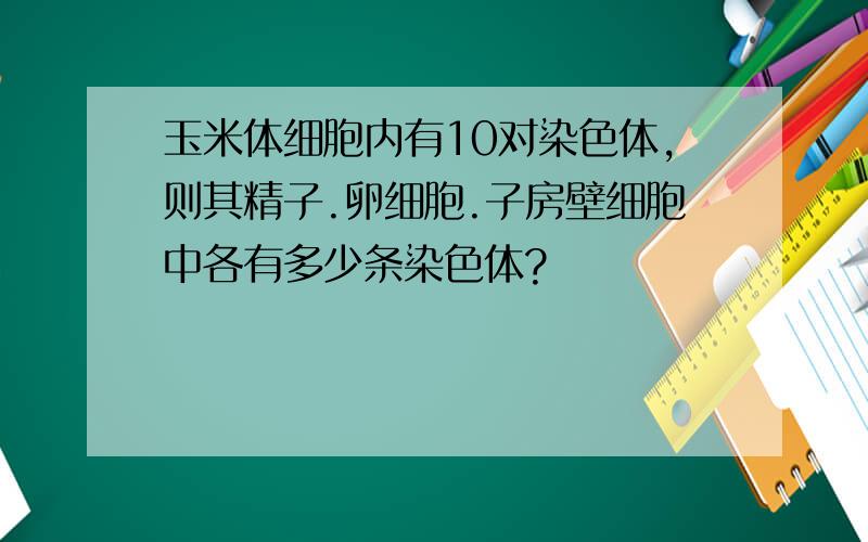 玉米体细胞内有10对染色体,则其精子.卵细胞.子房壁细胞中各有多少条染色体?