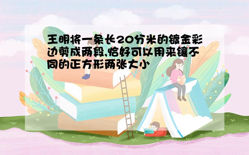 王明将一条长20分米的镀金彩边剪成两段,恰好可以用来镶不同的正方形两张大小