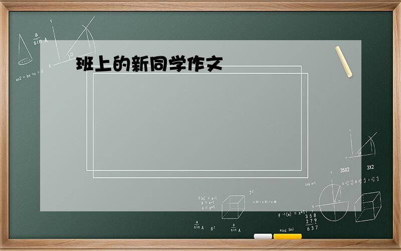 班上的新同学作文