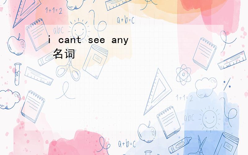 i cant see any 名词