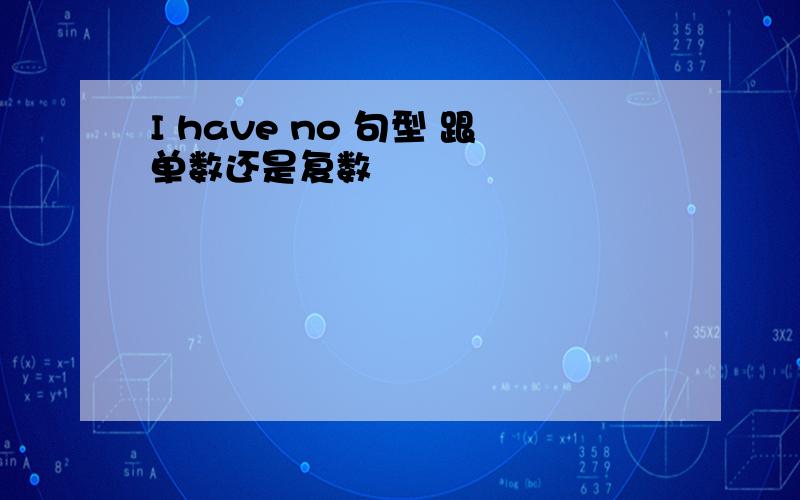 I have no 句型 跟单数还是复数