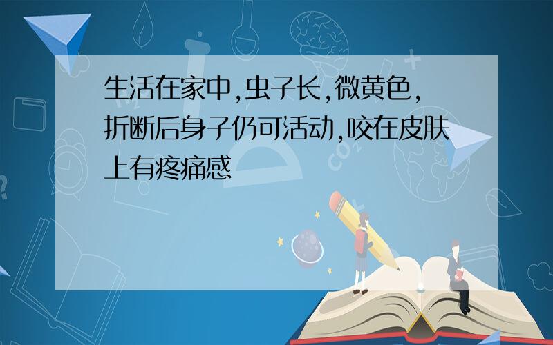 生活在家中,虫子长,微黄色,折断后身子仍可活动,咬在皮肤上有疼痛感