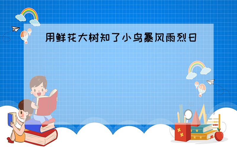 用鲜花大树知了小鸟暴风雨烈日