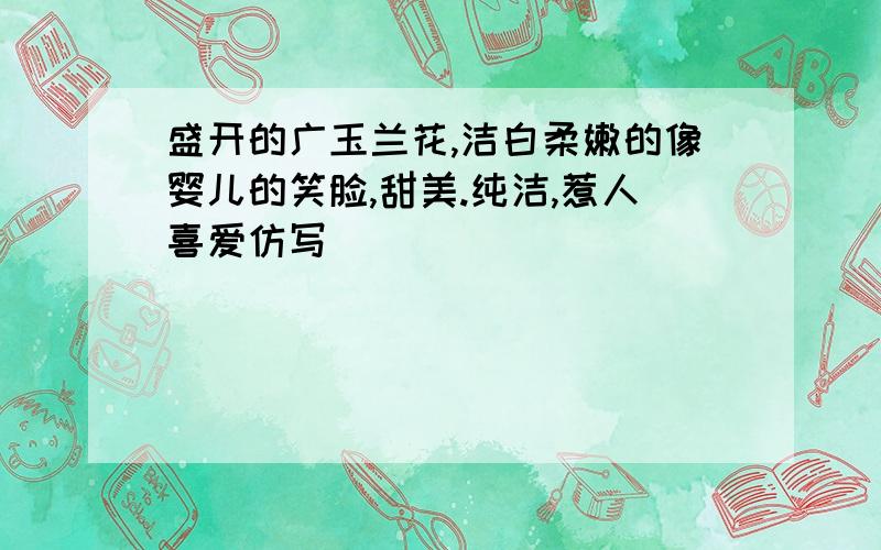 盛开的广玉兰花,洁白柔嫩的像婴儿的笑脸,甜美.纯洁,惹人喜爱仿写