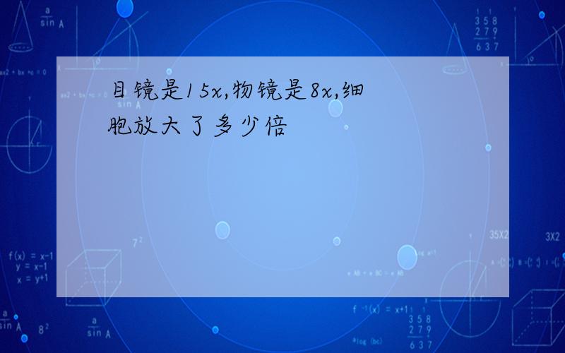 目镜是15x,物镜是8x,细胞放大了多少倍