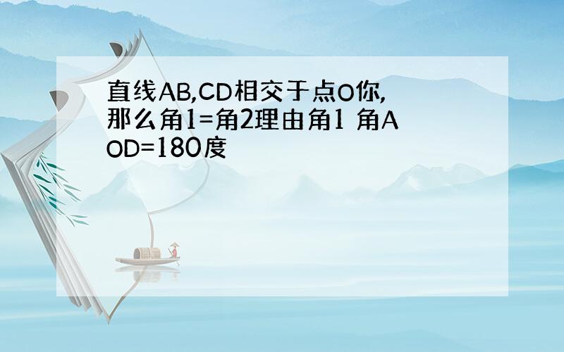 直线AB,CD相交于点O你,那么角1=角2理由角1 角AOD=180度