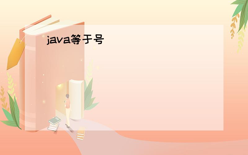 java等于号