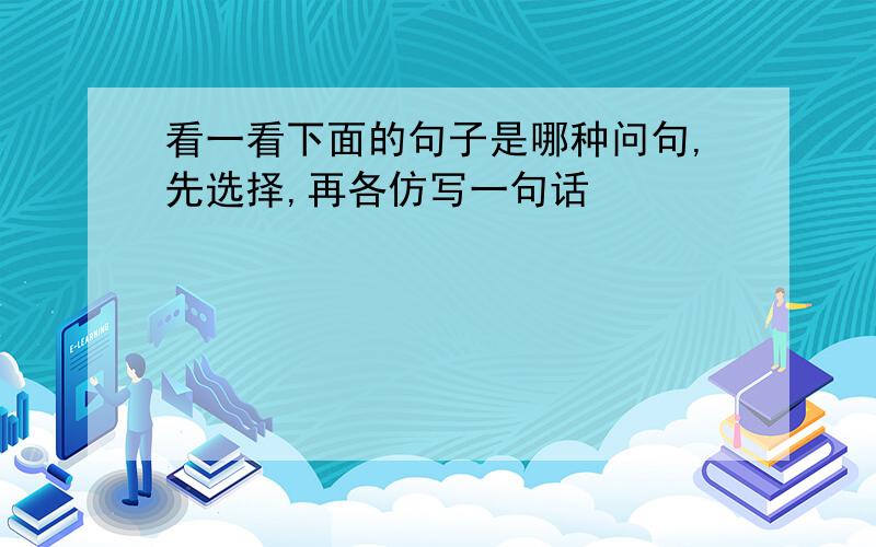 看一看下面的句子是哪种问句,先选择,再各仿写一句话