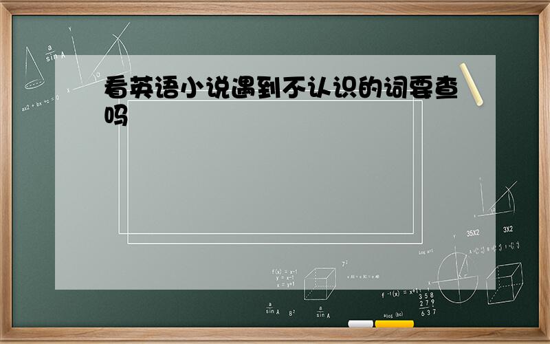 看英语小说遇到不认识的词要查吗