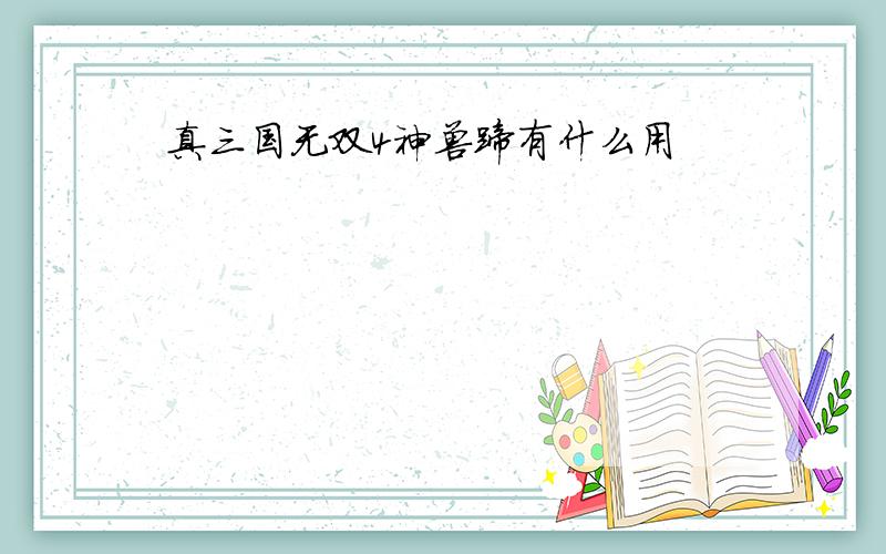 真三国无双4神兽蹄有什么用