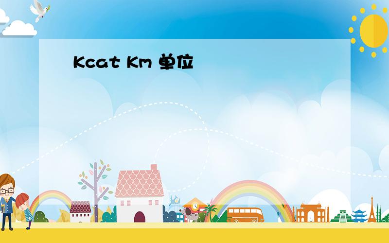 Kcat Km 单位