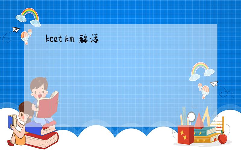 kcat km 酶活